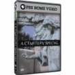 A Cemetery Special (2006) DVD