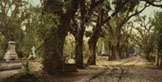 Bonaventure Cemetery, Savannah, Georgia, ca. 1901 - Exceptional Print of a Vintage Photochrom Image from the Library of Congress Collection